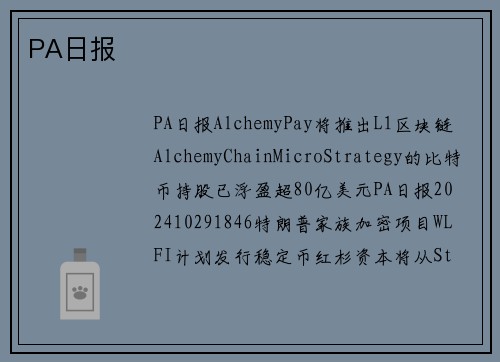 PA日报